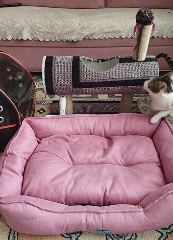 Kedi ürünleri çanta