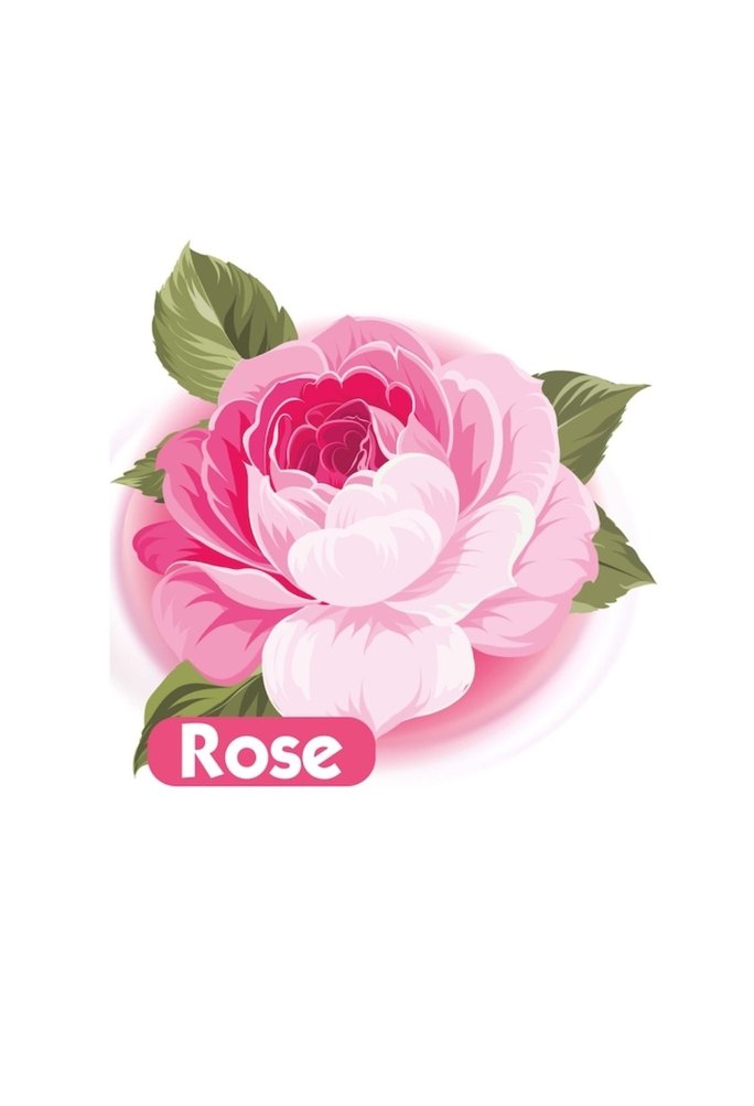 Baby Turco Gül Kokulu Islak Mendil 90'lı - Görsel 3