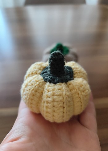 Renkli Örgü Kabak Dekorları - Görsel 5