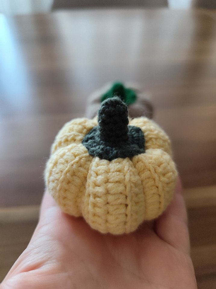 Renkli Örgü Kabak Dekorları - Görsel 5