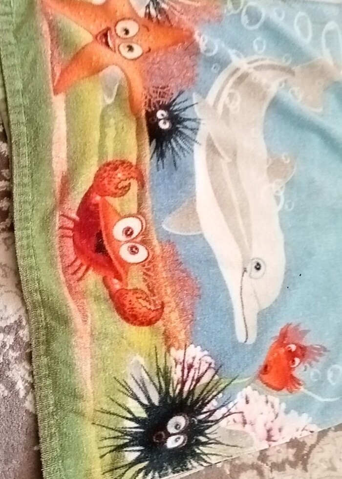 Plaj havlusu - Görsel 3