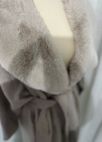 Kürklü kaban - Görsel 2