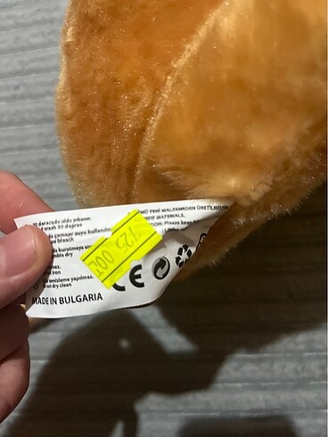  Beden Renk Aslan