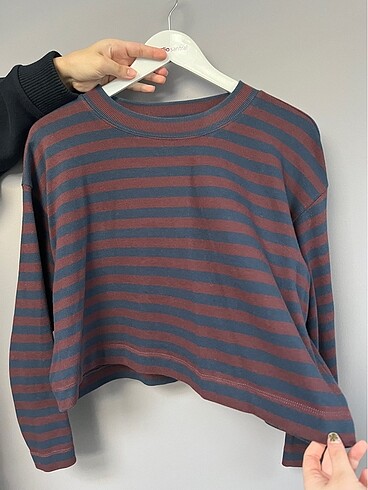 m Beden Mavi Crop