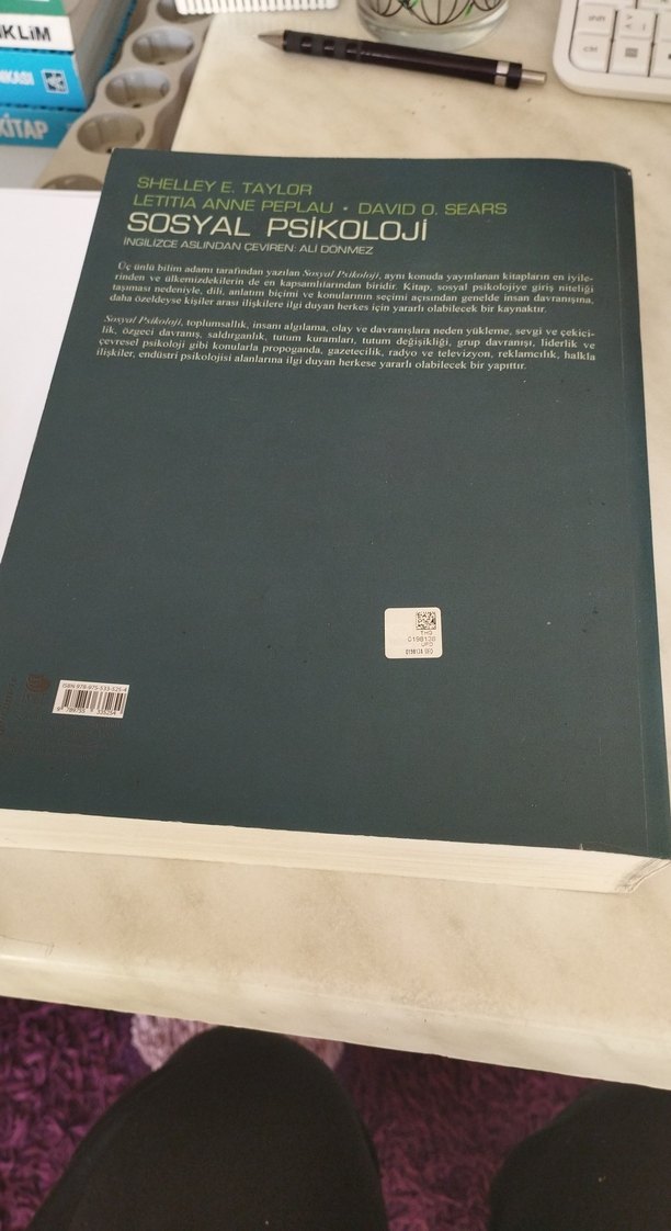Sosyal Psikoloji Kitabı - 6. Baskı - Görsel 2