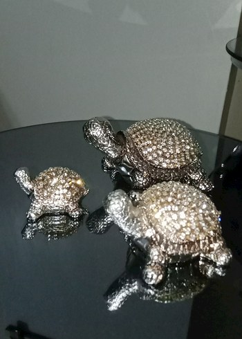 Gri Kaplumbağa Figür Seti - Görsel 3