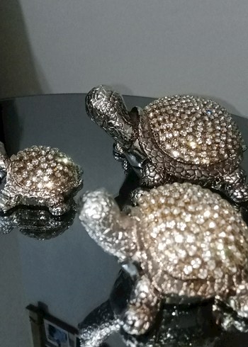 Gri Kaplumbağa Figür Seti - Görsel 4