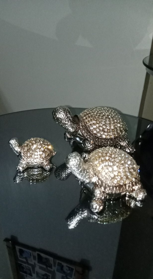 Gri Kaplumbağa Figür Seti - Görsel 3