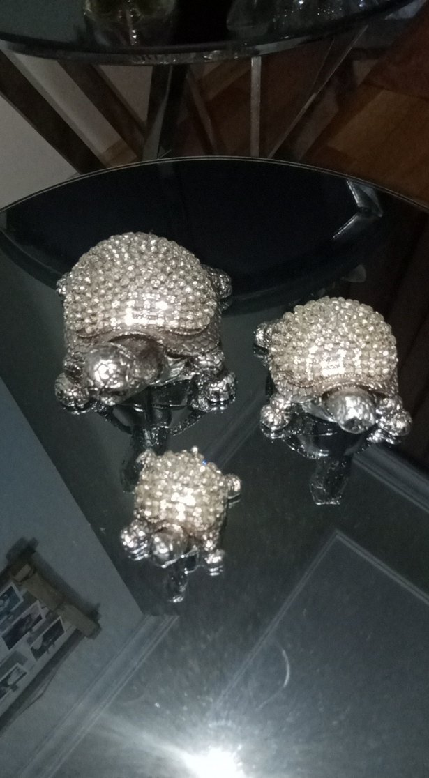 Gri Kaplumbağa Figür Seti - Görsel 2