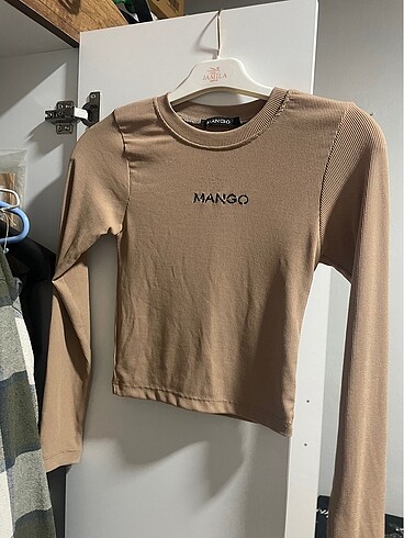 Mango crop