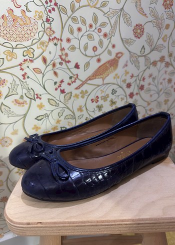 Lacivert Babet - Görsel 3