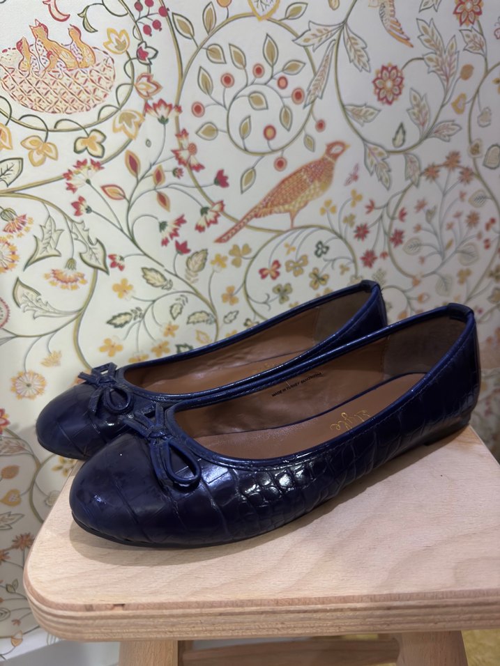 Lacivert Babet - Görsel 3