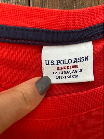 US Polo tişört - Görsel 2