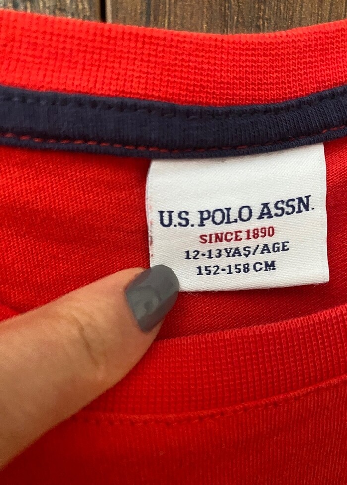 US Polo tişört - Görsel 2