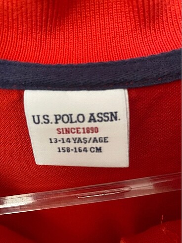 Us polo tişört - Görsel 2