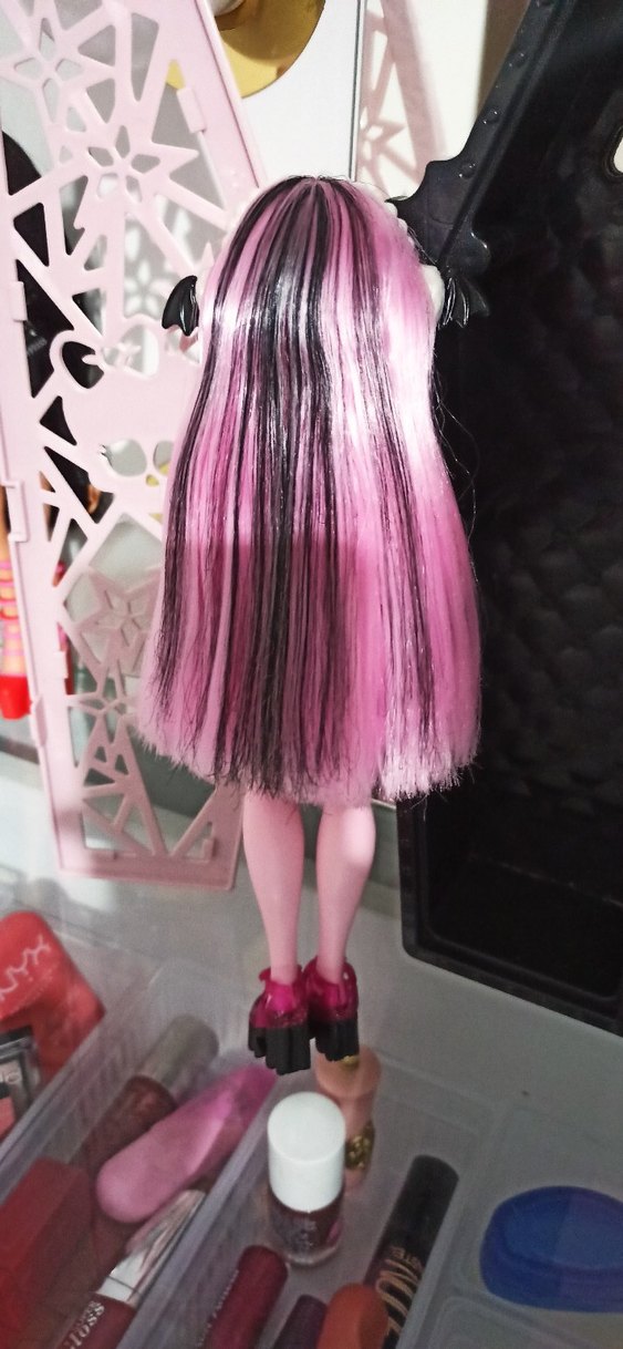 Monster High draculara gizemli arkadaşlar - Görsel 5