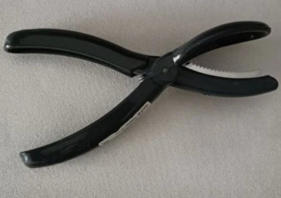 kestane çizeceği - Görsel 3