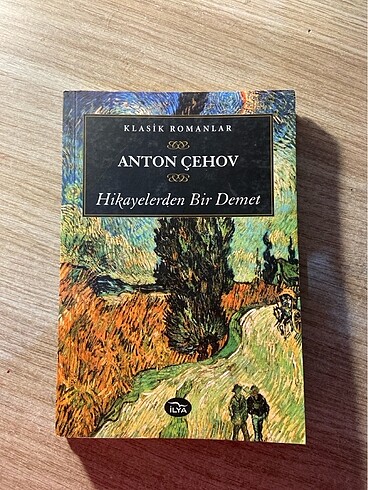 Klasik Roman Serisi-5 - Görsel 8