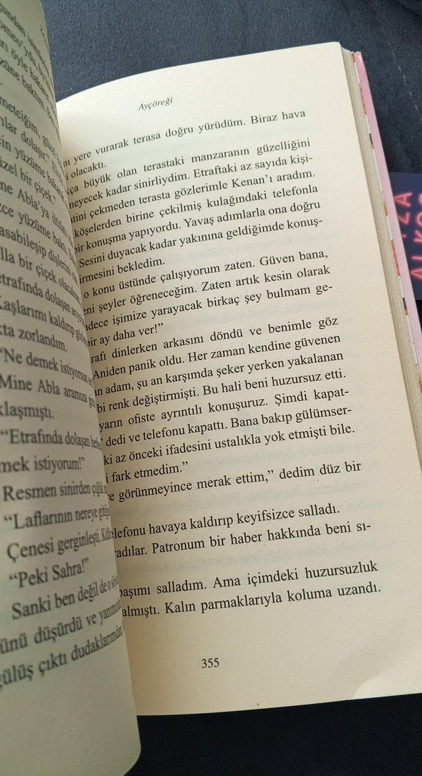 Ayçöreği - Zeynep Sahra - Görsel 3