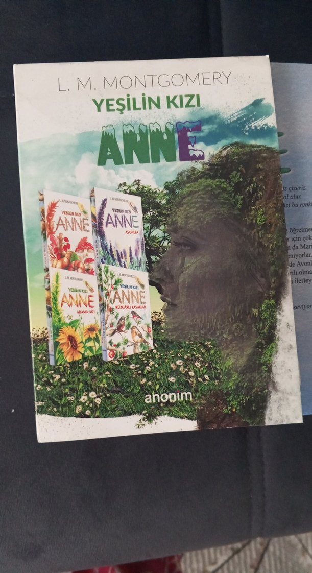 Yeşilin Kızı Anne Roman Serisi - Görsel 2