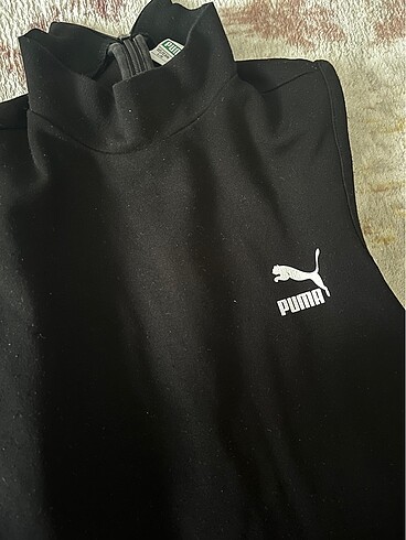 Puma Puma tulum