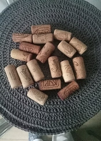 Tıpa mantar - Görsel 2