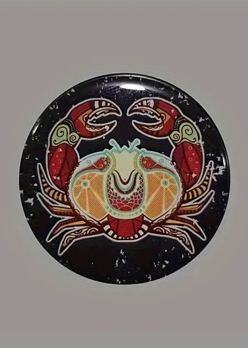 Siyah Akrep Desenli Toz Kutusu - Görsel 4