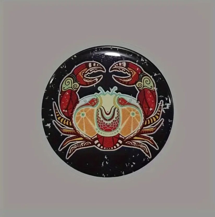 Siyah Akrep Desenli Toz Kutusu - Görsel 4