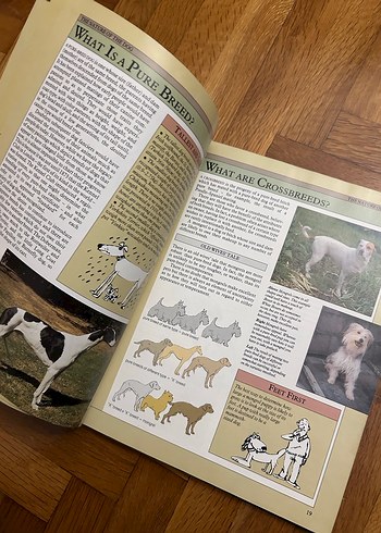 Dog Facts - Joan Palmer Biyografi Kitabı - Görsel 5