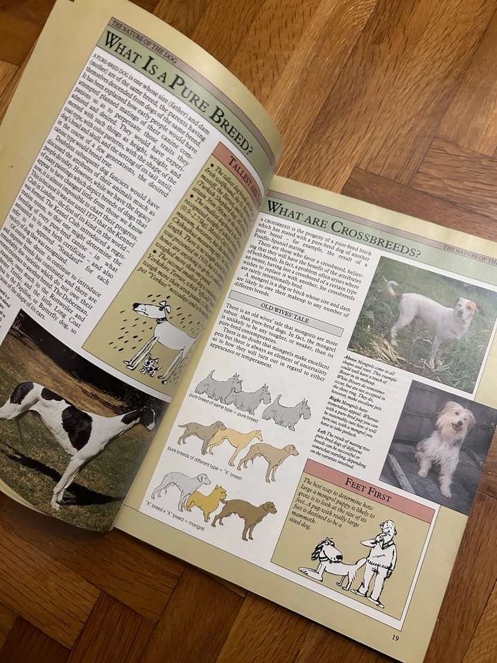 Dog Facts - Joan Palmer Biyografi Kitabı - Görsel 5