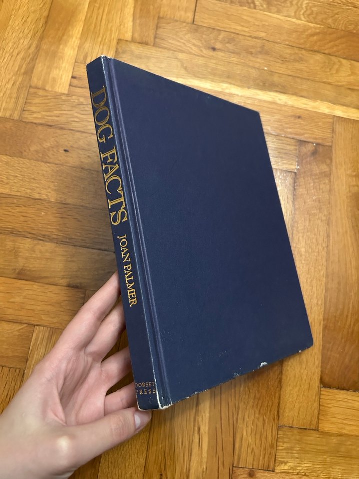 Dog Facts - Joan Palmer Biyografi Kitabı - Görsel 3