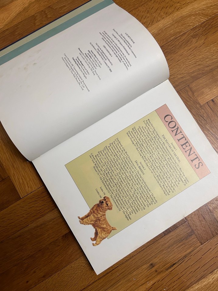 Dog Facts - Joan Palmer Biyografi Kitabı - Görsel 4