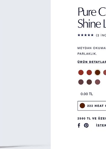 Estée Lauder 222 Parlak Bej Ruj - Görsel 4