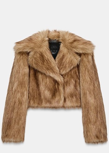 zara l