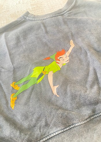Zara Gri Uzun Kollu Baskılı Kadın Sweatshirt (peter pan baskılı) - Görsel 6