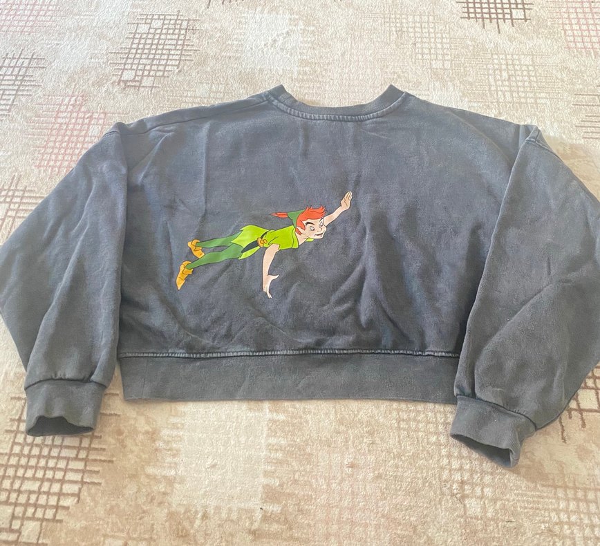 Zara Gri Uzun Kollu Baskılı Kadın Sweatshirt (peter pan baskılı) - Görsel 5