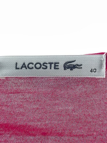40 Beden çeşitli Renk Lacoste Bluz %70 İndirimli.