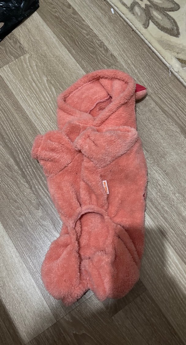 Kedi kıyafeti - Görsel 3