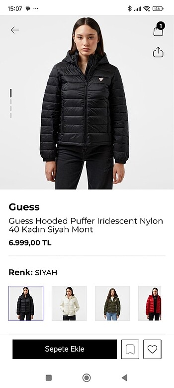 guess mont