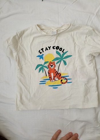 4 adet tişort - Görsel 4