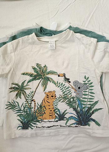 Yeşil Baskılı Erkek Çocuk Kısa Kollu Tişört - Görsel 4