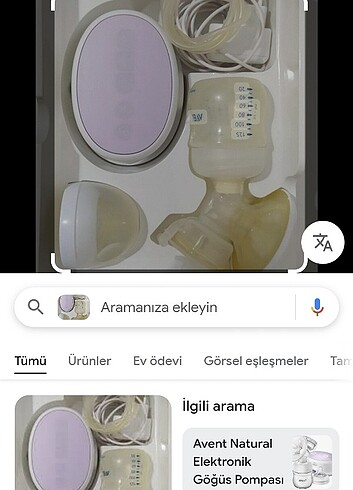 Beden Süt sağma makınesı