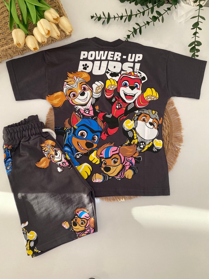 Paw Petrol Baskılı Erkek Çocuk Takım - Görsel 2