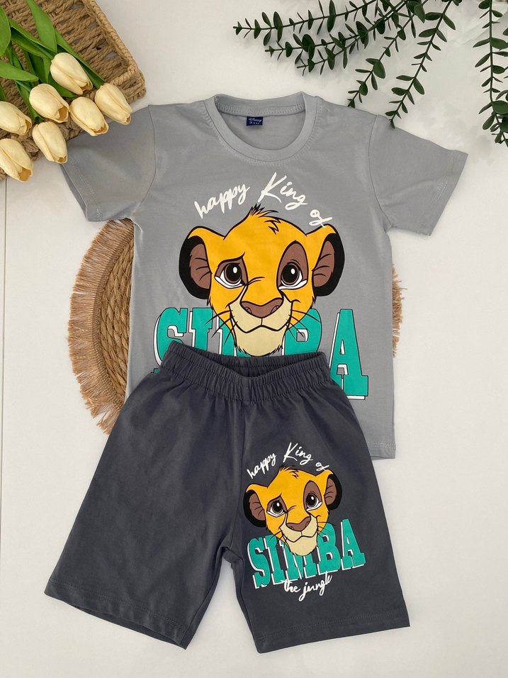 Gri Simba Baskılı Erkek Çocuk Takımı - Görsel 3