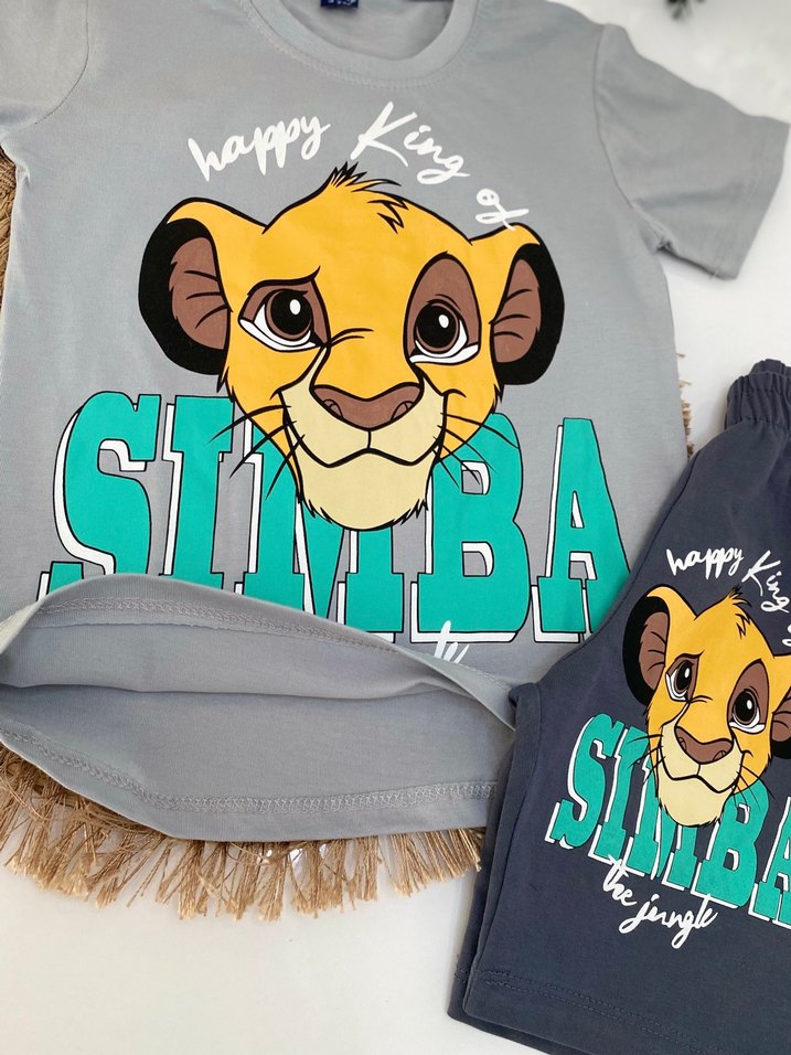 Gri Simba Baskılı Erkek Çocuk Takımı - Görsel 2