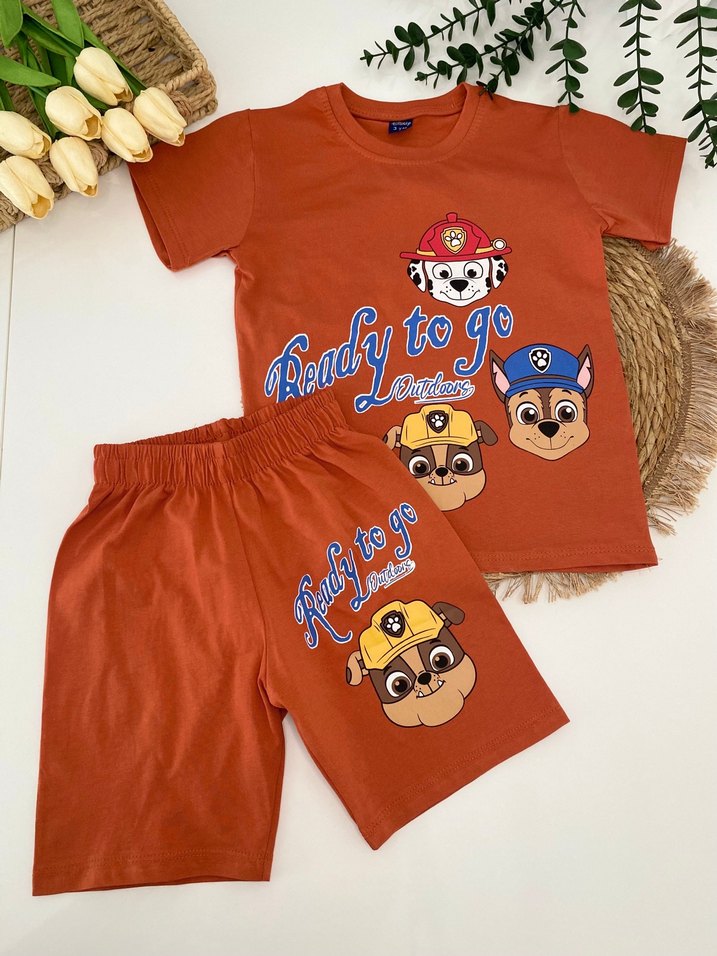 Kahverengi Paw Petrol Erkek Takımı - Görsel 3