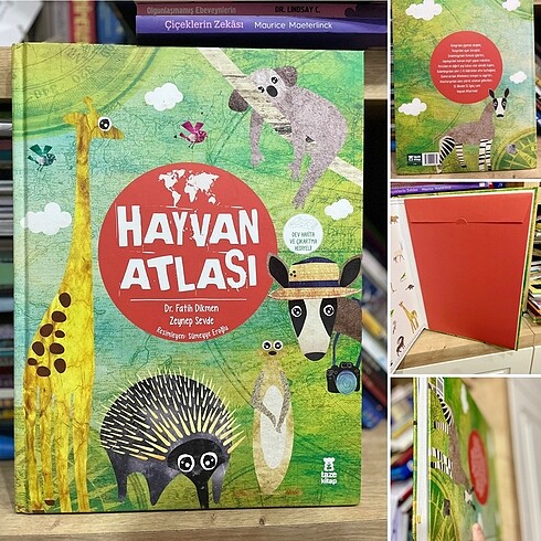 Hayvan Atlası, Taze Kitap