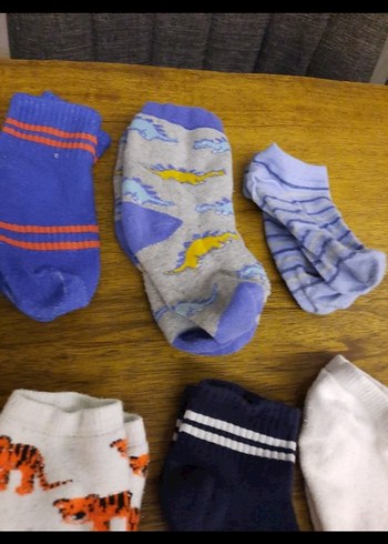 Erkek Çocuk Çok Renkli Çorap Seti - Görsel 8