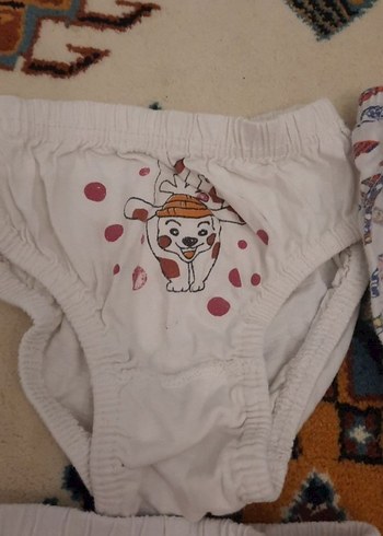 Renkli Baskılı Çocuk Külot - Görsel 4