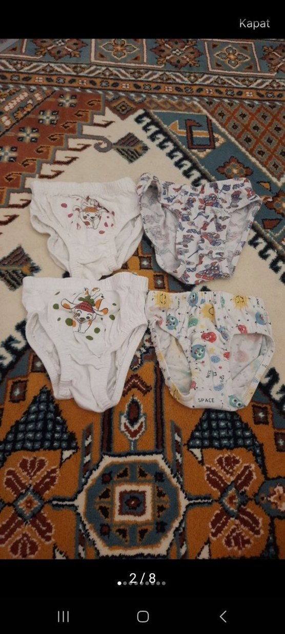 Renkli Baskılı Çocuk Külot - Görsel 2